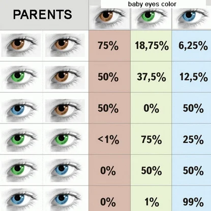 Видео: Какъв ще е цветът на очите на бебето ви?