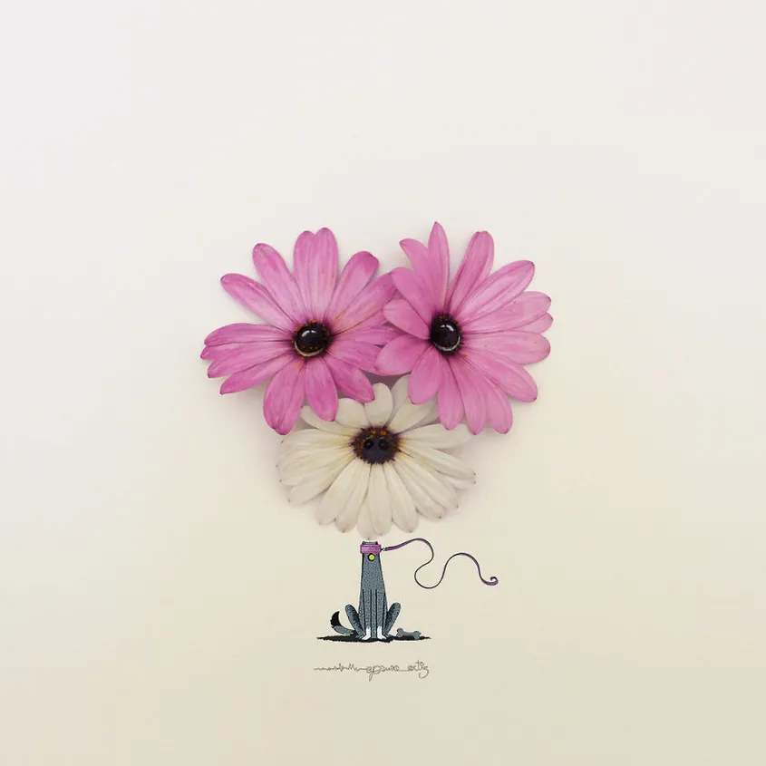 Цветя, превърнати в прекрасни илюстрации