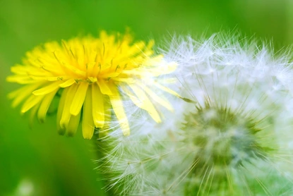 Живеем така сякаш имаме безкрайно много дни пред нас...