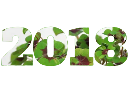 2018: нумерологична прогноза