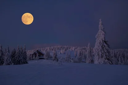 Пълнолуние в Рак и лунно затъмнение определят основните теми за 2020 г.