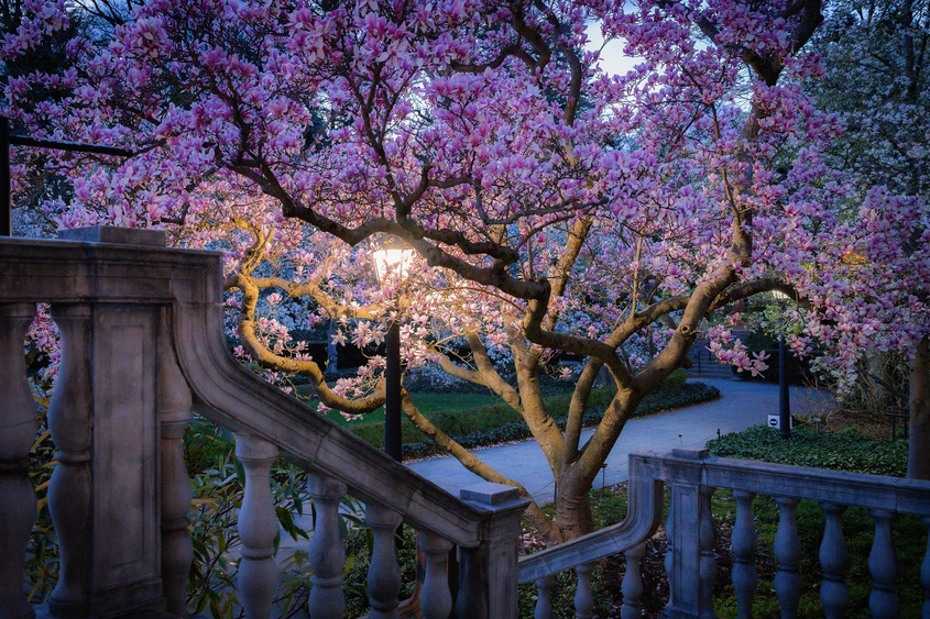 Как подсъзнанието съхранява спомените ни от предишни животи