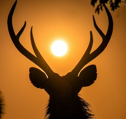 Септемврийски космически трепети: Луната, магнитните бури и нашите емоции