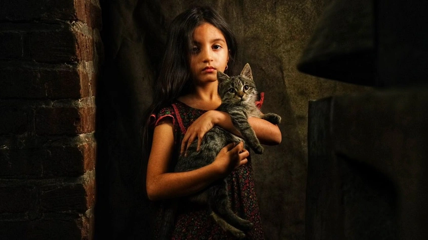 Фестивалният фаворит ''Един тъжен и красив свят'' открива Sofia MENAR