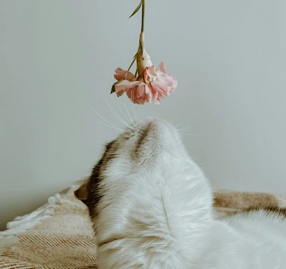 Защо най-добрите ни прозрения идват, когато сме уморени