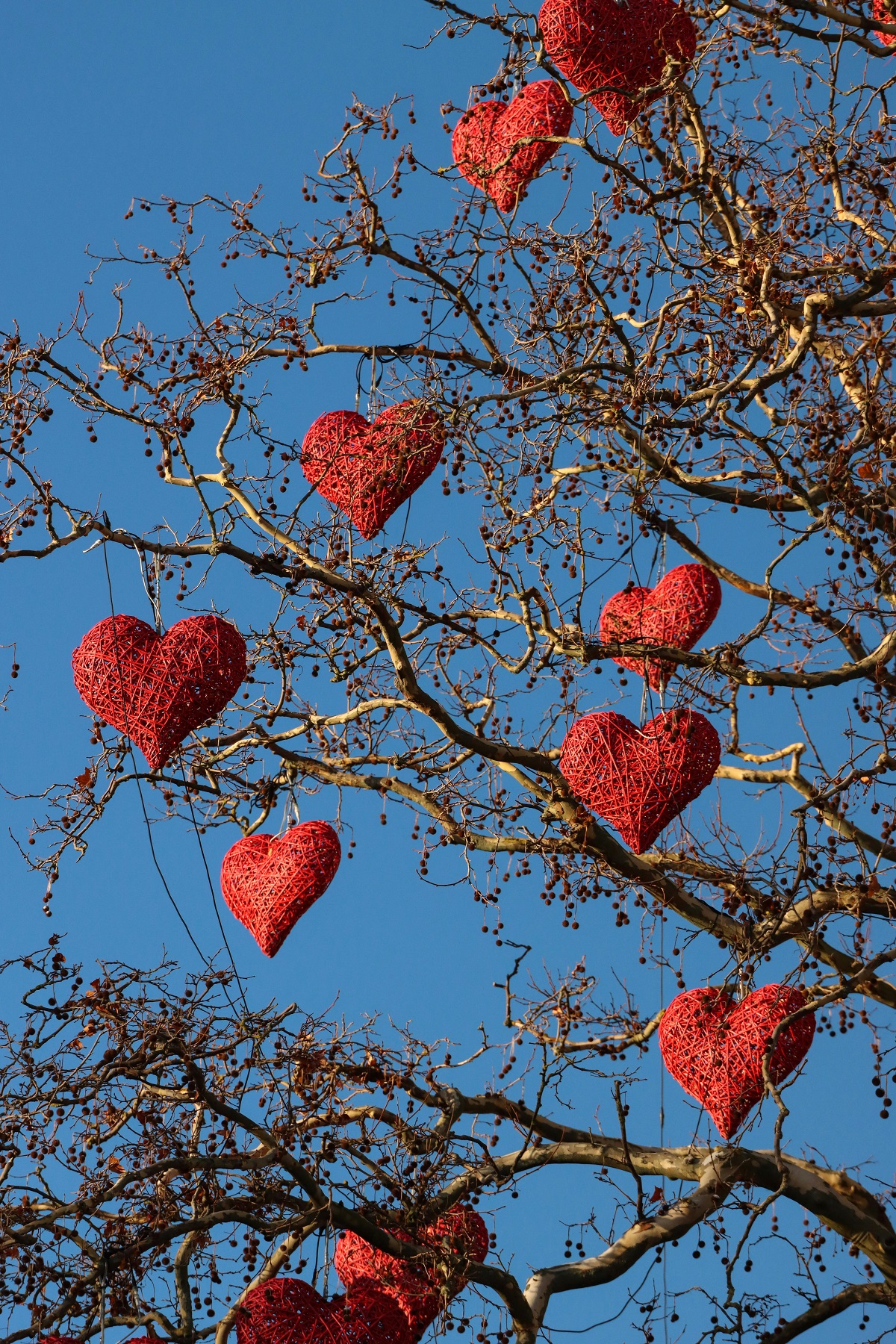4 начина да променим поведението си чрез силата на психологията