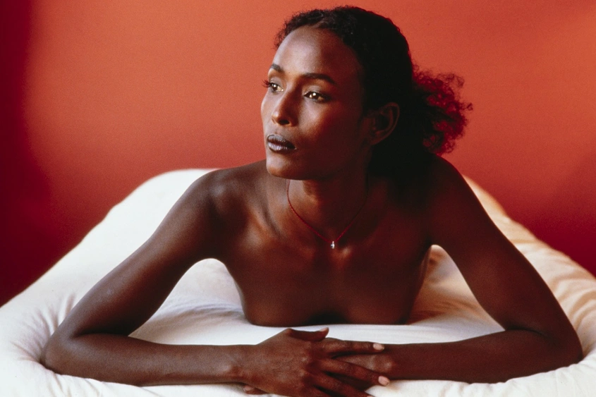 Уерис Диъри: Някой трябва да говори в защита на малките момичета без глас