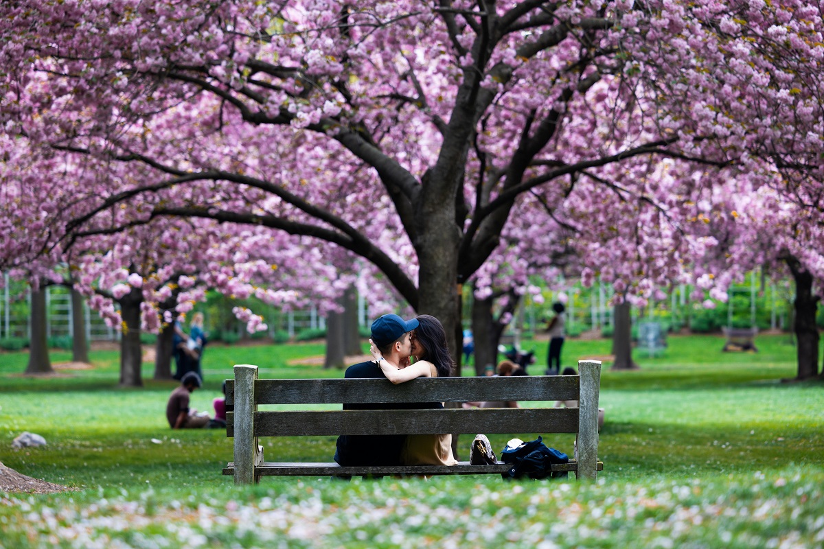 По сила и значение Първа пролет може да се сравни само с новото раждане