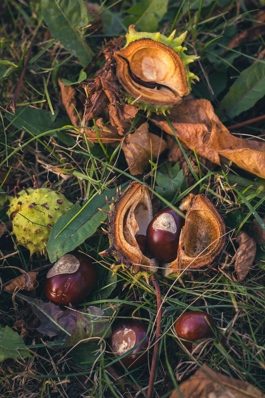 Какво ни учи природата за живота